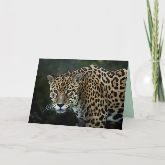 tarjeta de saludo jaguar (Anverso)