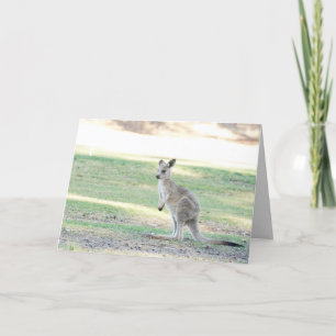 Tarjeta de saludo Kangaroo joey