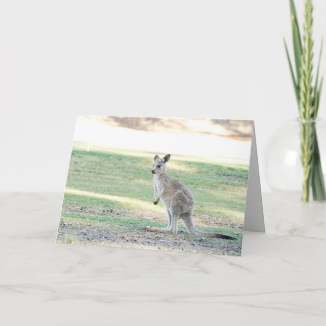 Tarjeta de saludo Kangaroo joey (Anverso)