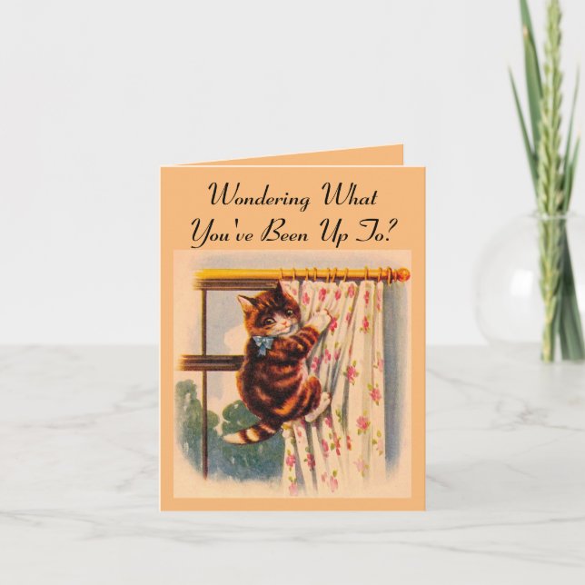 Tarjeta de saludo Kitten Climbtain Curtain (Anverso)