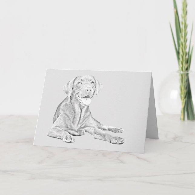 Tarjeta de saludo Labrador de lápiz dibujado (Anverso)