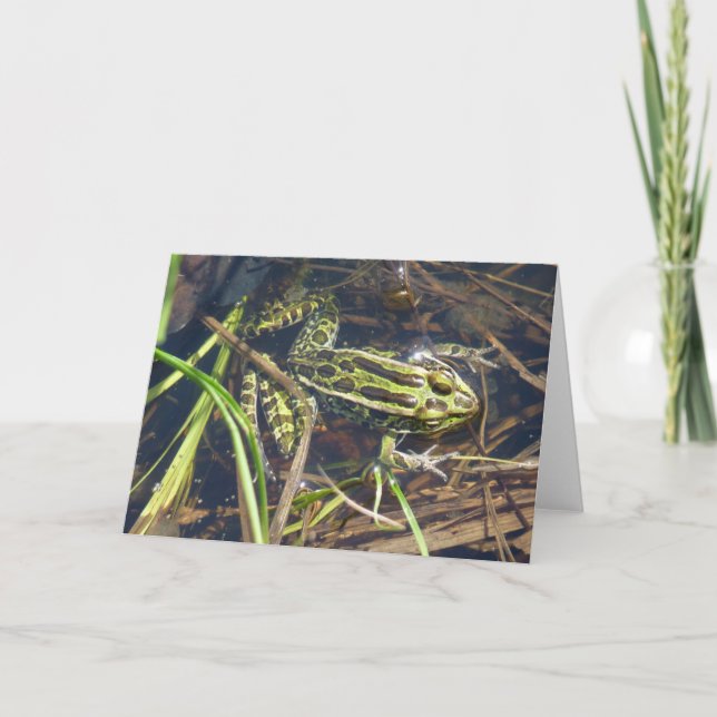 Tarjeta de saludo Leopard Frog (Anverso)