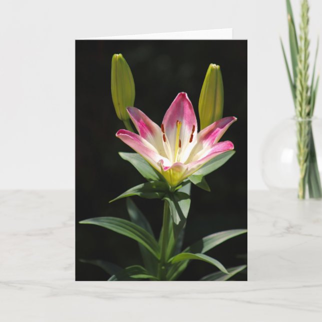 Tarjeta de saludo Lily (Anverso)