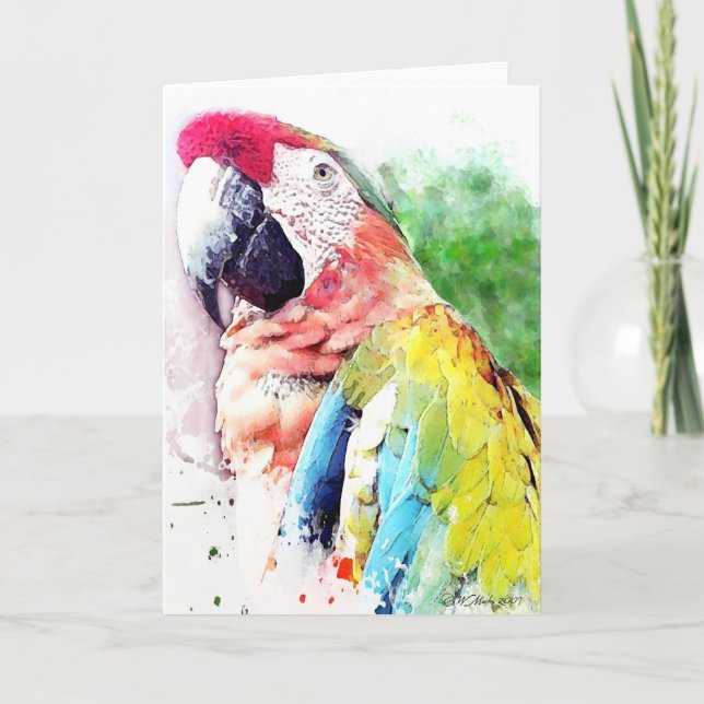 Tarjeta de saludo Macaw Blank (Anverso)
