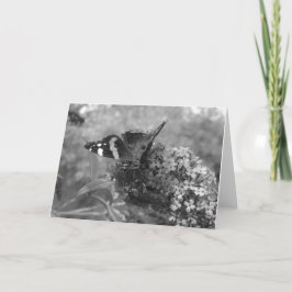 Tarjeta de saludo - Mariposa almirante en blanco y