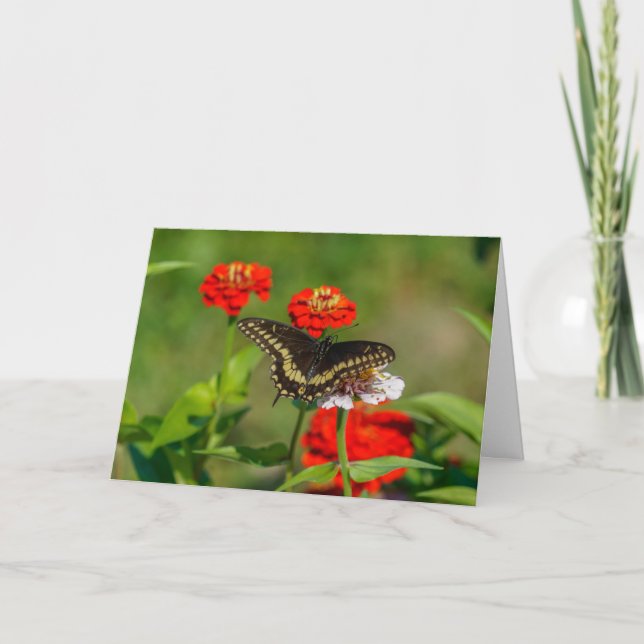 Tarjeta de saludo - Mariposa en el jardín en Stowe (Anverso)