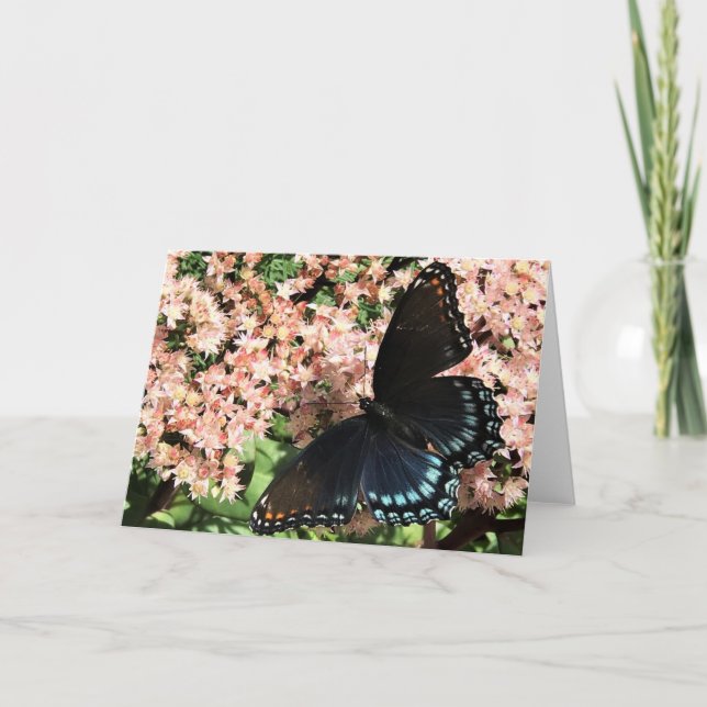 Tarjeta de saludo - Mariposa púrpura de punto rojo (Anverso)