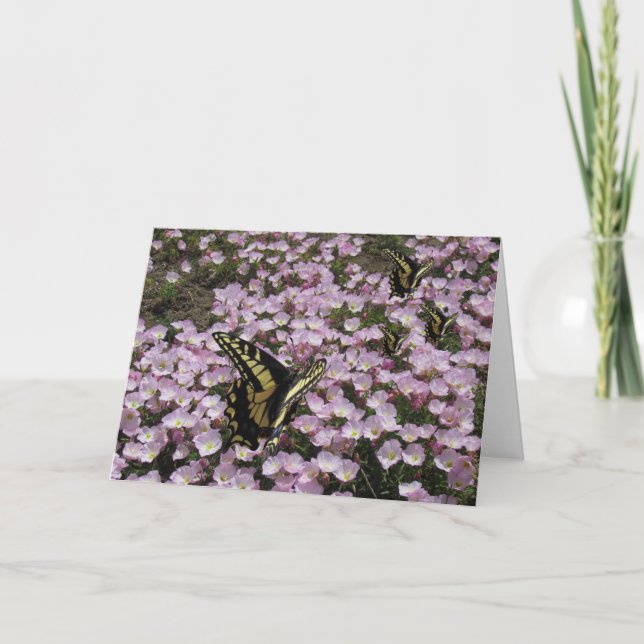 Tarjeta de saludo - Mariposas y flores (Anverso)