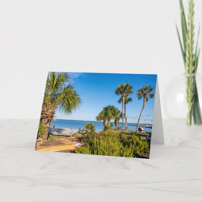 Tarjeta de saludo matutino de Palm Trees Bayside (Anverso)