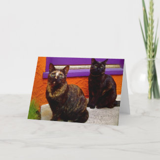 Tarjeta de saludo mística para gatos de mono