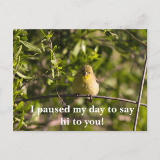 Tarjeta de saludo motivadora con pájaro bebé amari