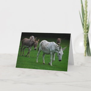 Tarjeta de saludo Mule y Donkey
