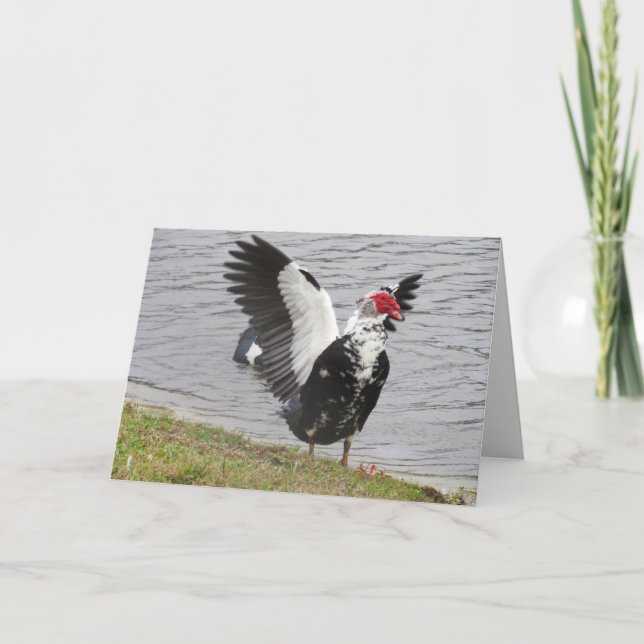Tarjeta de saludo Muscovy Duck Waving Wings (Anverso)
