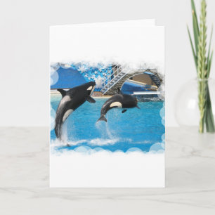 Tarjeta de saludo Orca Whales
