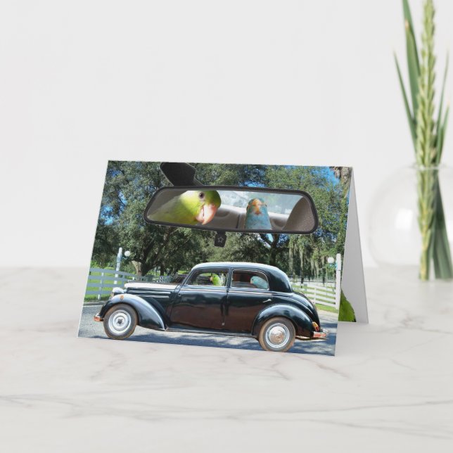 Tarjeta de saludo para aves Daisy Parrotlet de la  (Anverso)