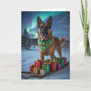 Tarjeta de saludo para Navidades de perro malinois