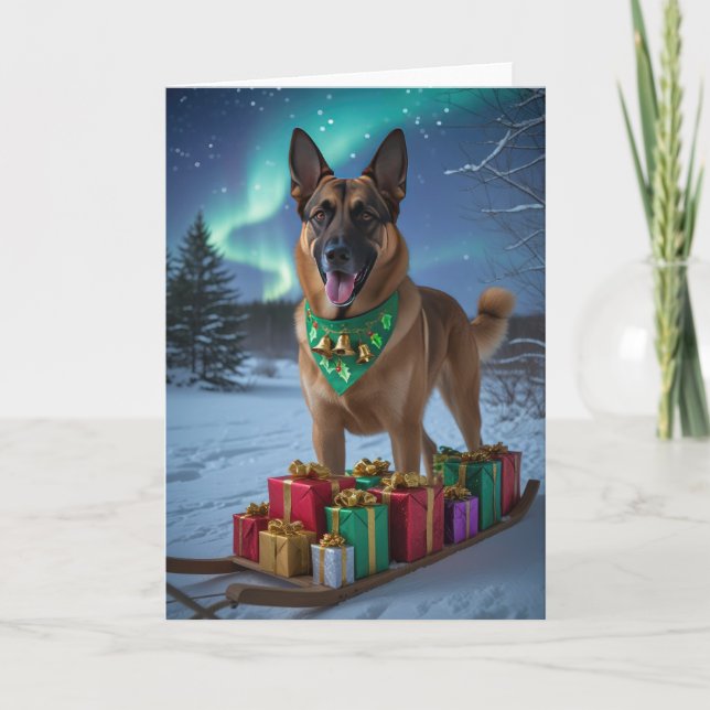 Tarjeta de saludo para Navidades de perro malinois (Anverso)
