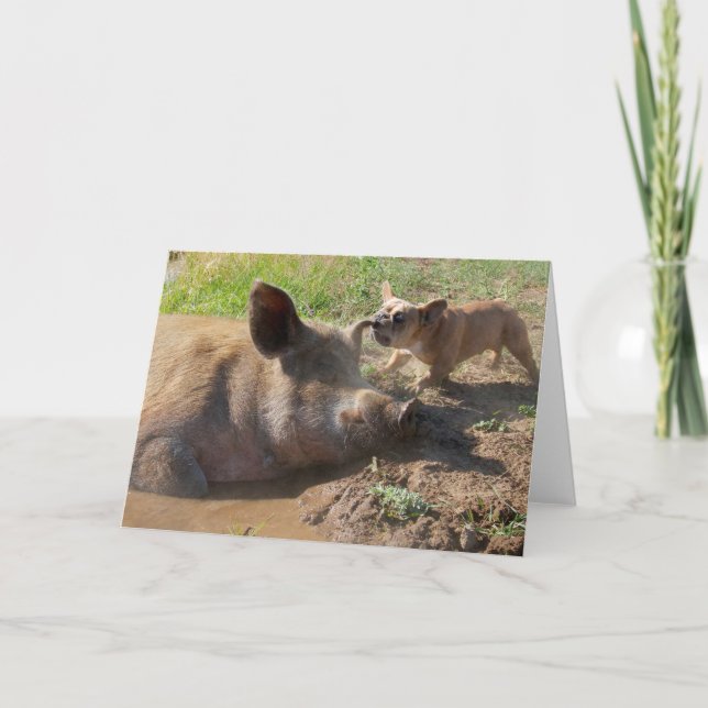 Tarjeta de saludo para orejas de cerdos (Anverso)