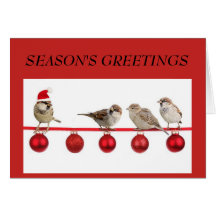 Tarjeta de saludo para pequeños pájaros con Navida