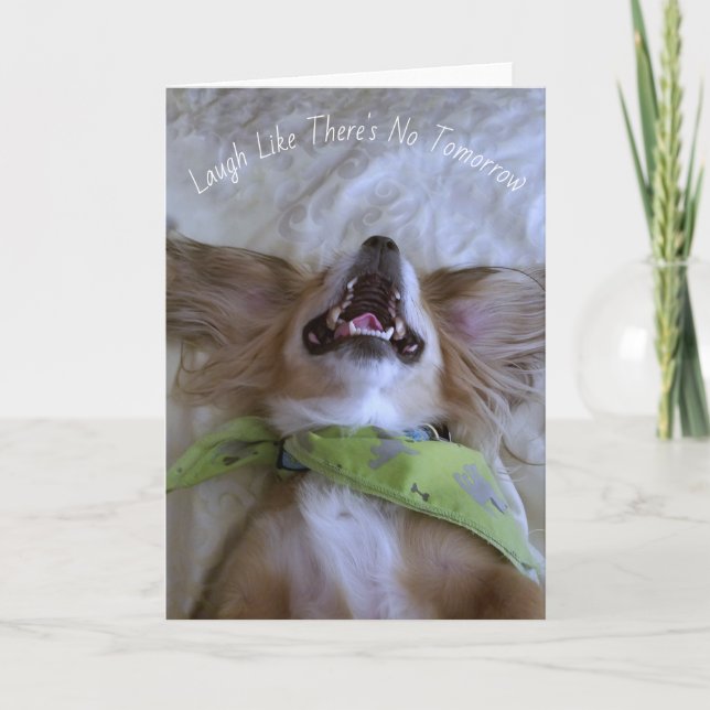 Tarjeta de saludo para perros risibles (Anverso)