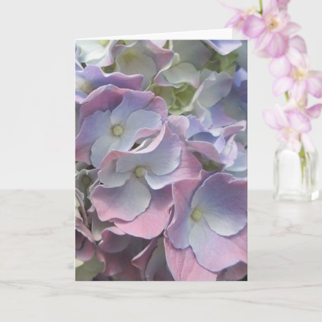 Tarjeta de saludo - Pastel Rainbow Hydrangea (Orquídea)