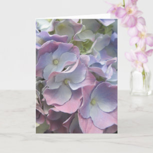 Tarjeta de saludo - Pastel Rainbow Hydrangea