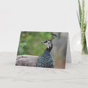 Tarjeta de saludo Peafowl
