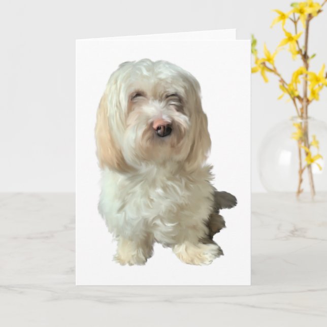 Tarjeta de saludo Perro Havanese (flor amarilla)