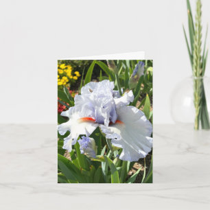 Tarjeta de saludo personalizada Lavender Iris