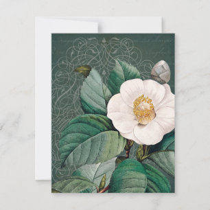 Tarjeta de saludo plana Camellia Blanca