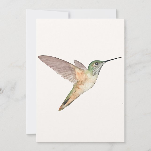 Tarjeta de saludo plana de Allen's Hummingbird (Anverso)