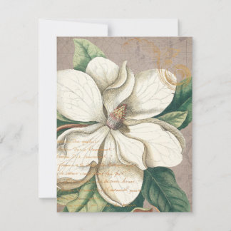 Tarjeta de saludo plana de Magnolia blanca