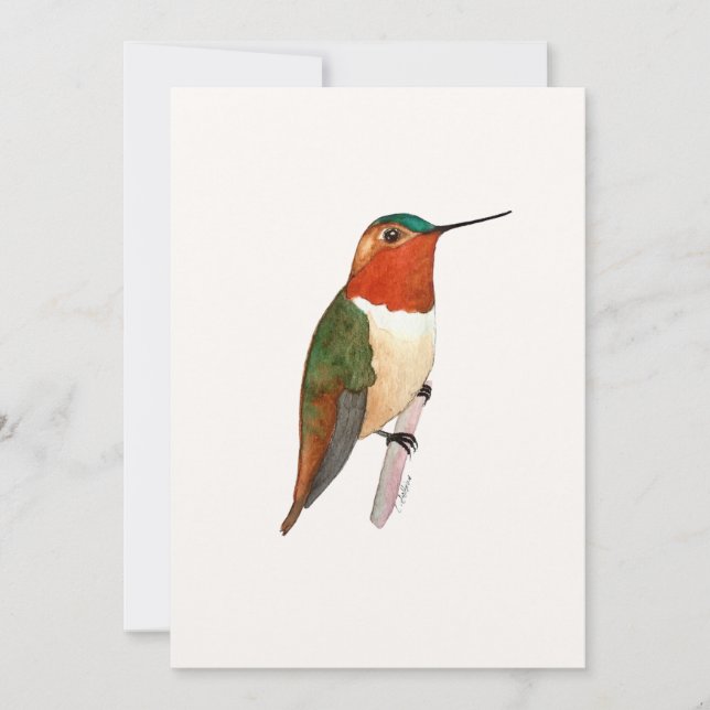 Tarjeta de saludo plana Rufous Hummingbird (Anverso)