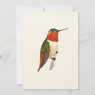 Tarjeta de saludo plana Rufous Hummingbird