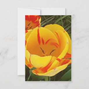Tarjeta de saludo plana Spring Tulips