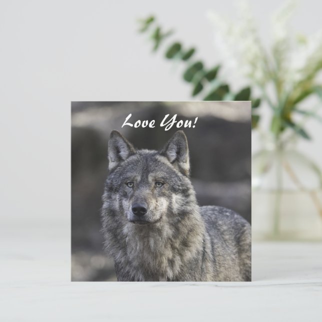 Tarjeta de saludo plana Wolf (Anverso de pie)
