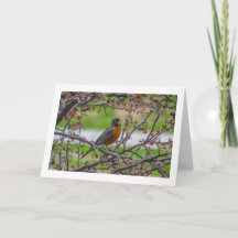 Tarjeta de saludo plegada en blanco "Rockin"