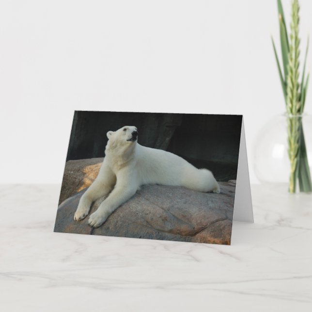 Tarjeta de saludo Polar Bear (Anverso)