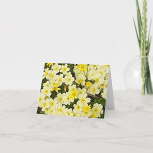 Tarjeta de saludo Primroses Primarios de Primavera