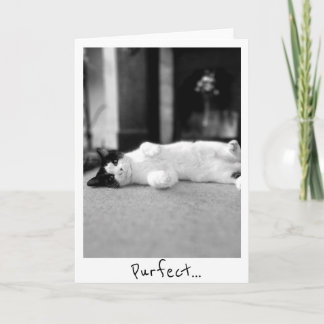 Tarjeta de saludo Purfect Kitty