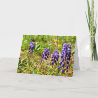 Tarjeta de saludo Purple Flower