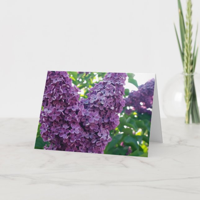 Tarjeta de saludo Purple Lilacs (Anverso)