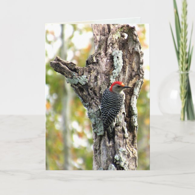 Tarjeta de saludo Red Bellie Woodpecker (Anverso)