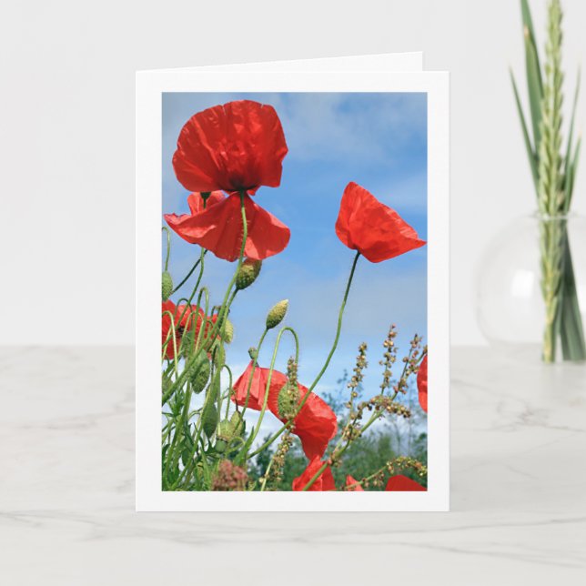 Tarjeta de saludo Red Poppies (Anverso)