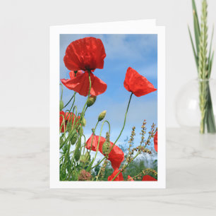 Tarjeta de saludo Red Poppies