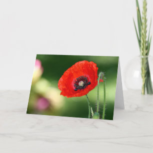 Tarjeta de saludo Red Poppy Seed