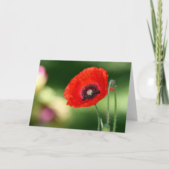 Tarjeta de saludo Red Poppy Seed (Anverso)