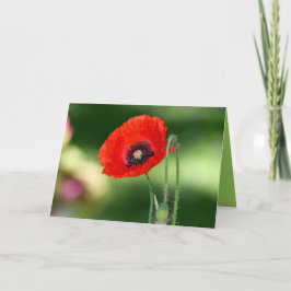 Tarjeta de saludo Red Poppy Seed