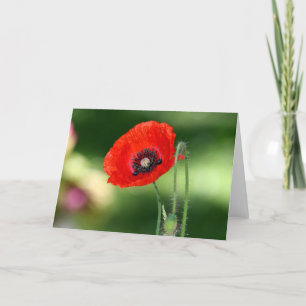 Tarjeta de saludo Red Poppy Seed