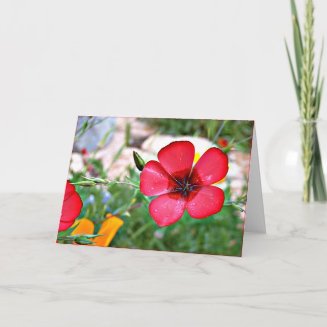 Tarjeta de saludo Red Wildflower (Anverso)